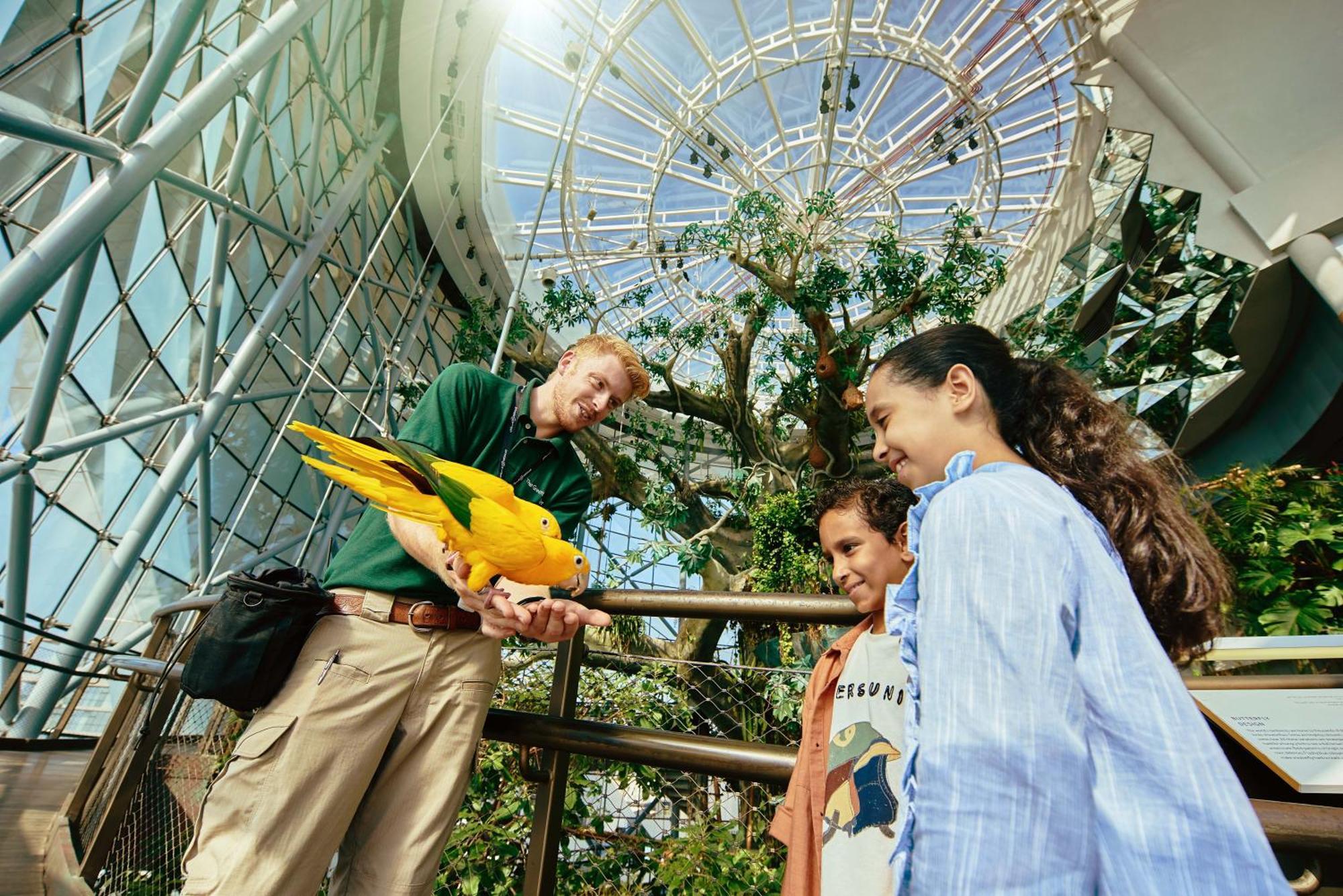 La Ville Hotel & Suites City Walk Dubai, Autograph Collection Экстерьер фото The Aviary